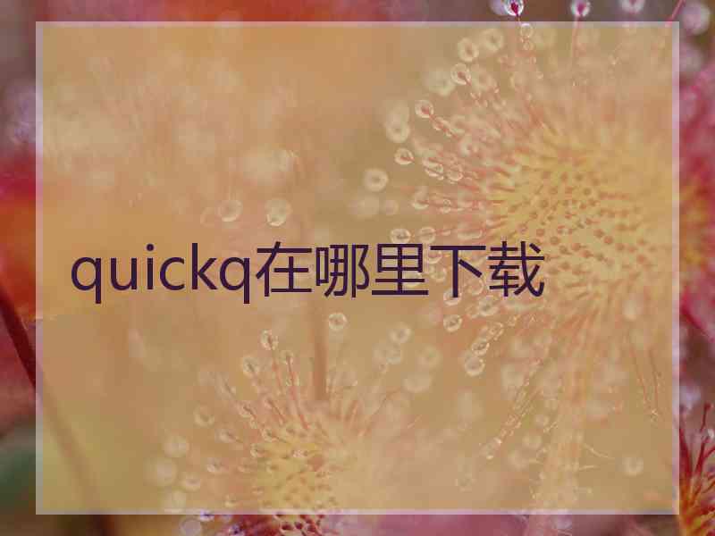 quickq在哪里下载