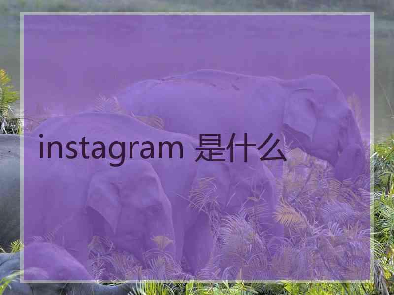 instagram 是什么