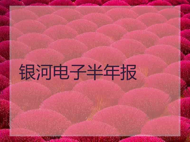 银河电子半年报