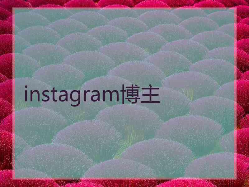 instagram博主