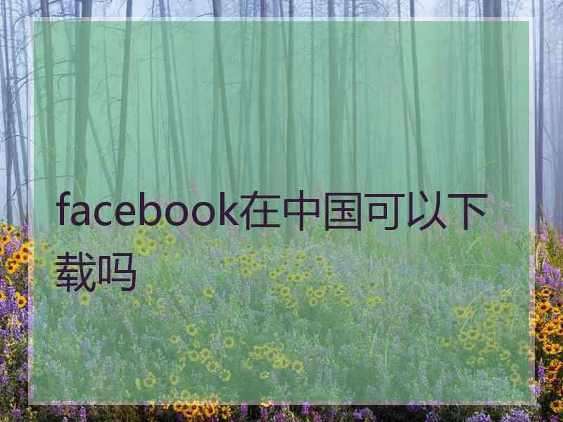 facebook在中国可以下载吗