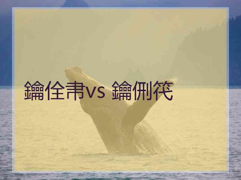 鑰佺帇vs 鑰侀笩