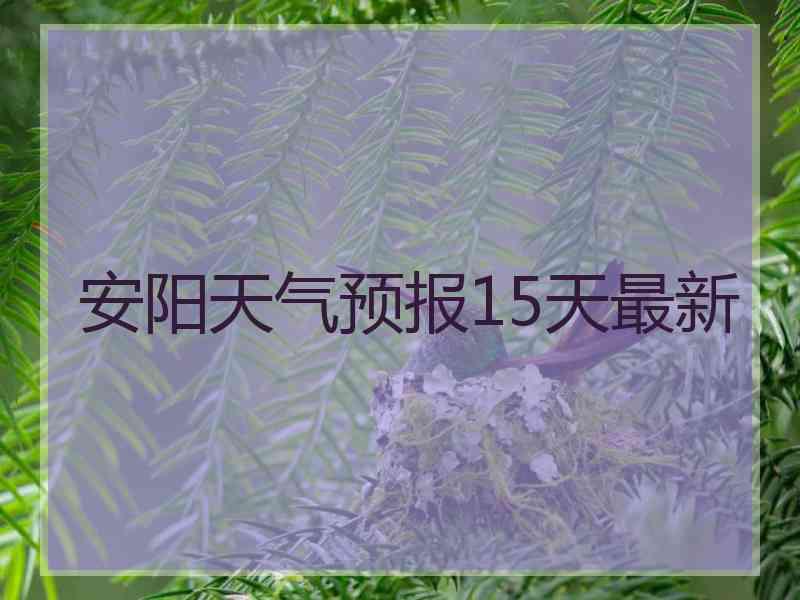 安阳天气预报15天最新