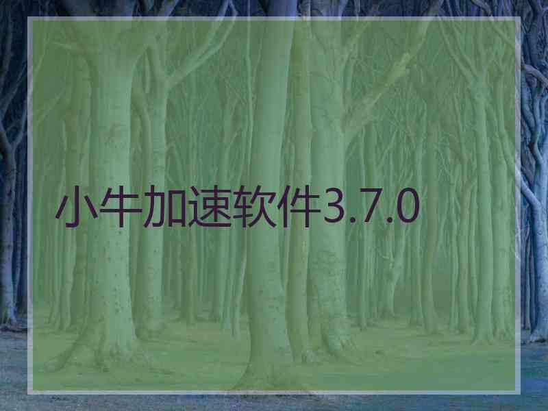 小牛加速软件3.7.0