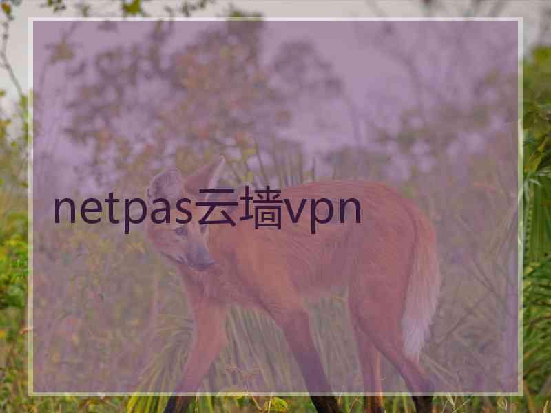 netpas云墙vpn