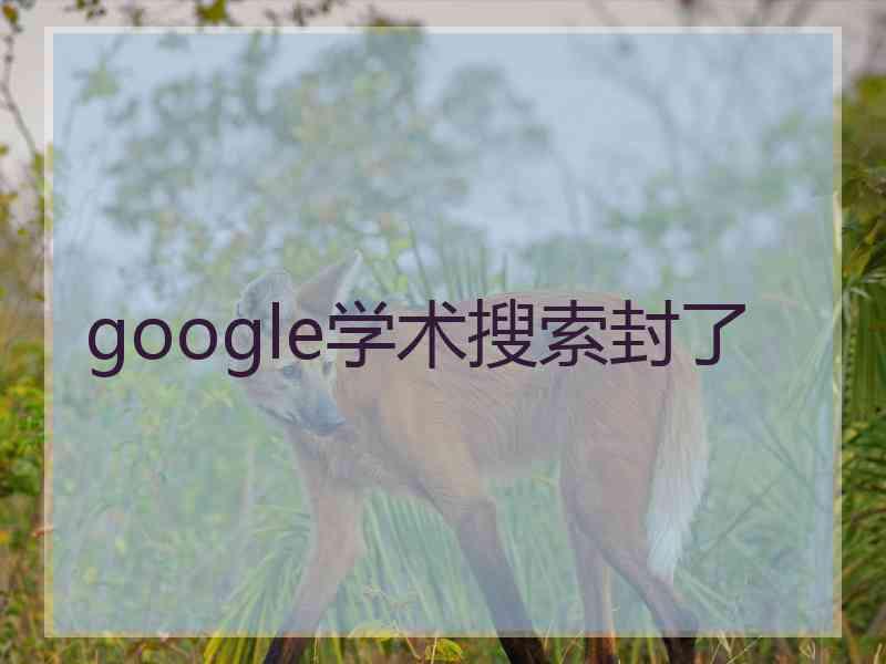 google学术搜索封了