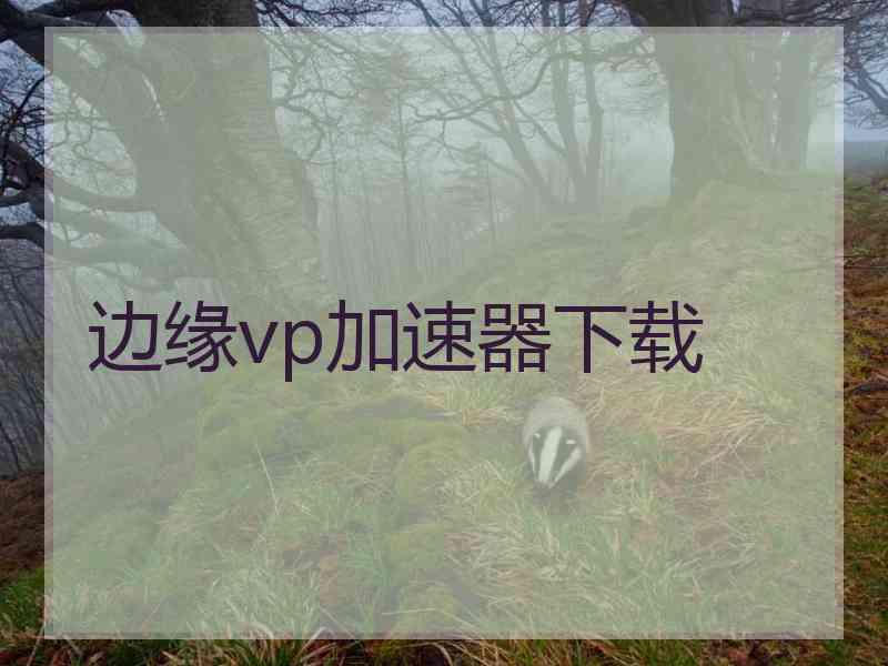 边缘vp加速器下载