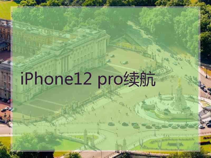 iPhone12 pro续航