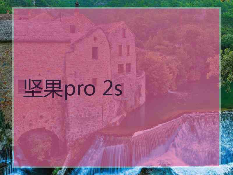 坚果pro 2s