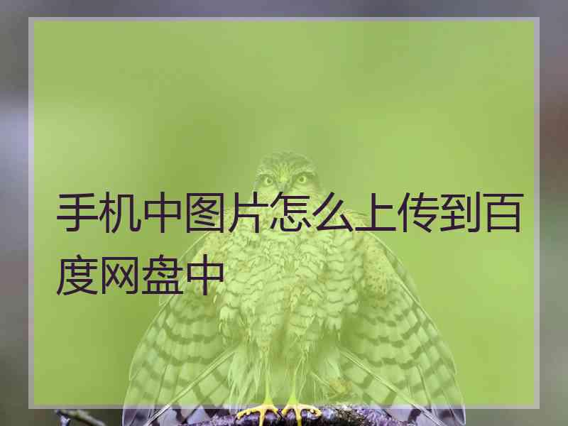 手机中图片怎么上传到百度网盘中