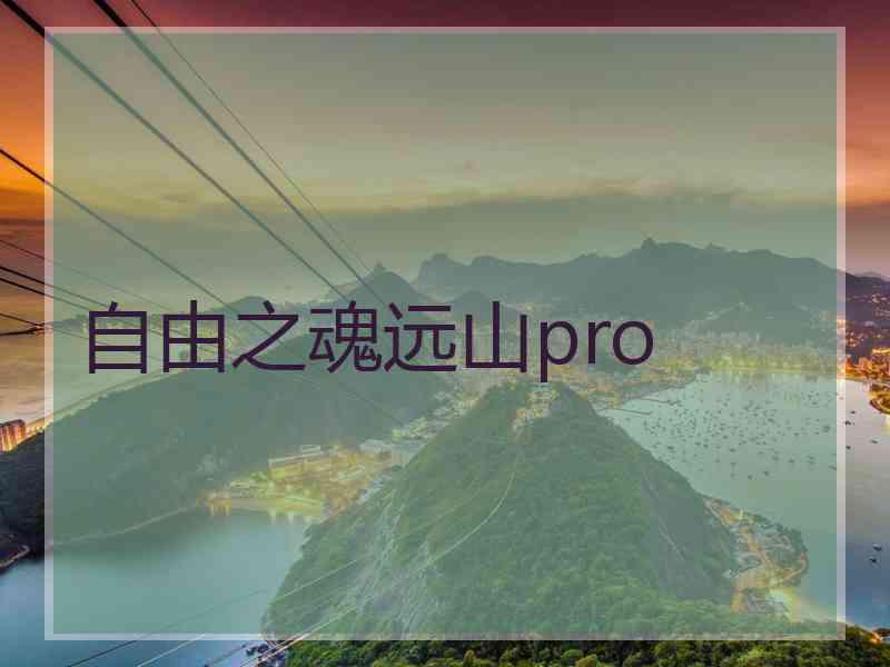 自由之魂远山pro