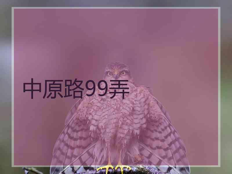 中原路99弄