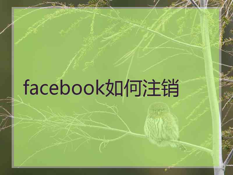 facebook如何注销