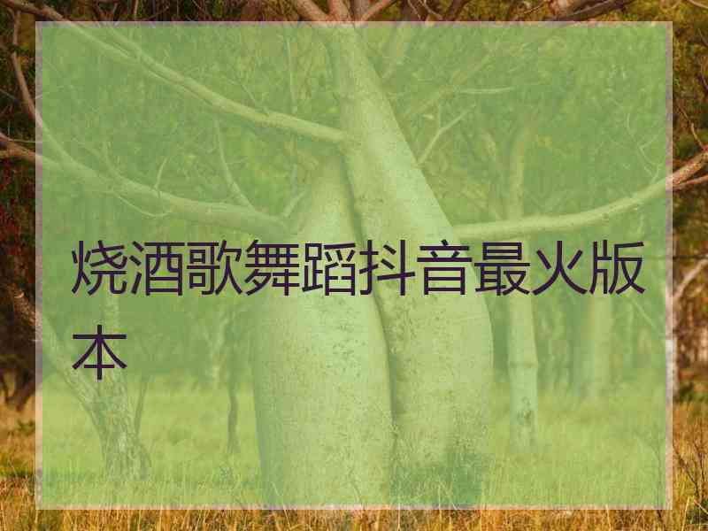 烧酒歌舞蹈抖音最火版本