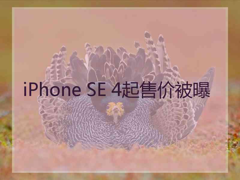 iPhone SE 4起售价被曝