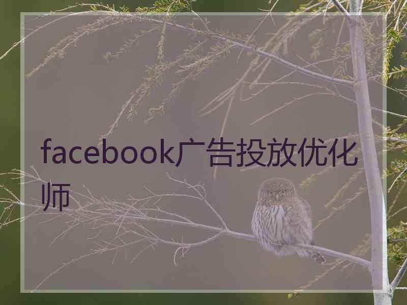 facebook广告投放优化师