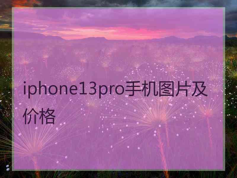 iphone13pro手机图片及价格