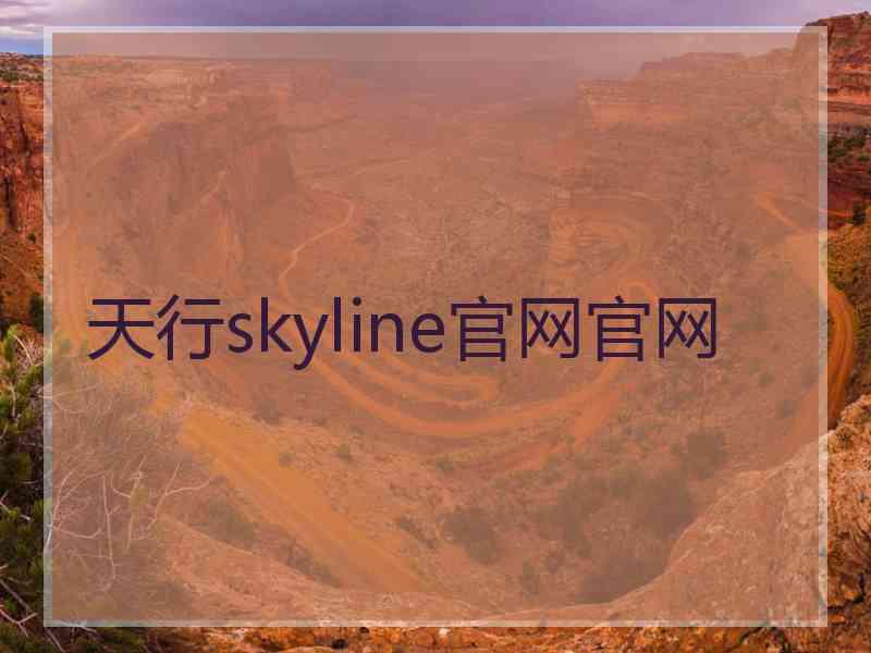 天行skyline官网官网