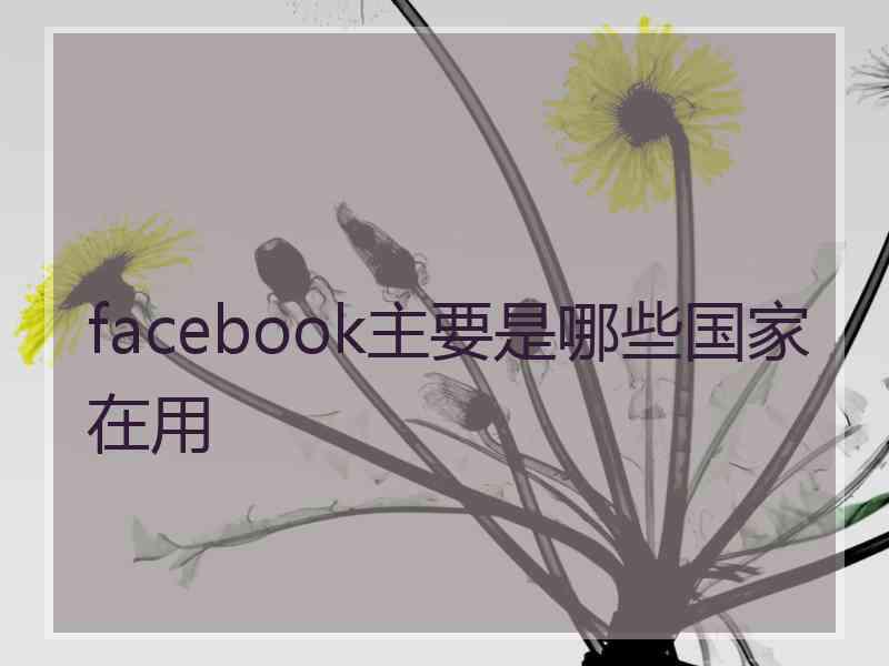 facebook主要是哪些国家在用