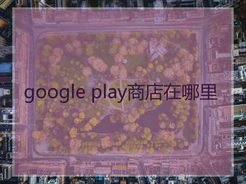 google play商店在哪里