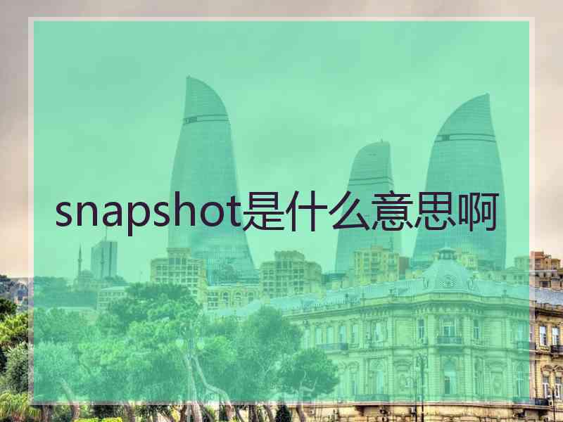 snapshot是什么意思啊