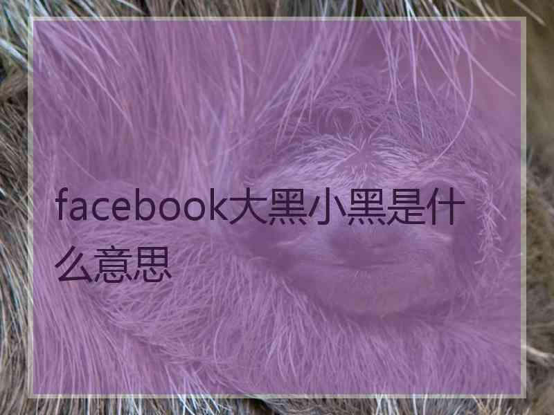 facebook大黑小黑是什么意思