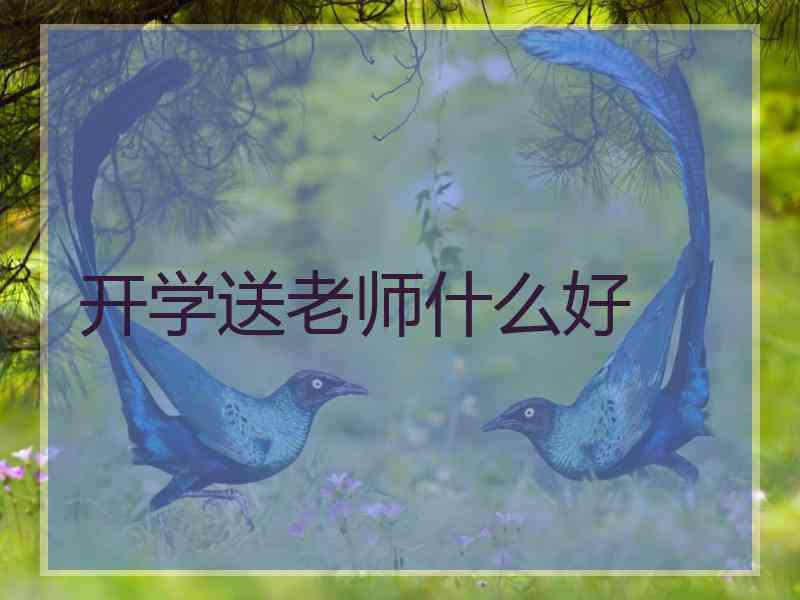 开学送老师什么好