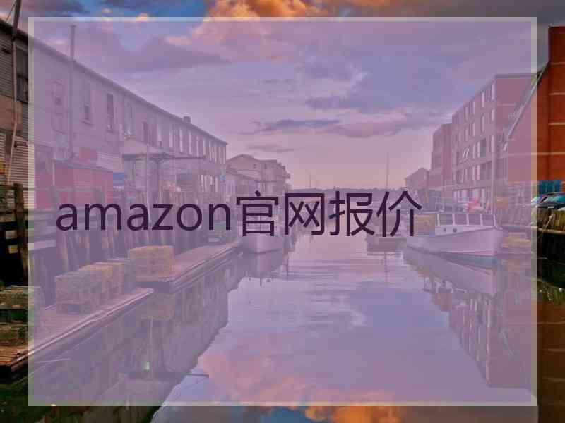 amazon官网报价