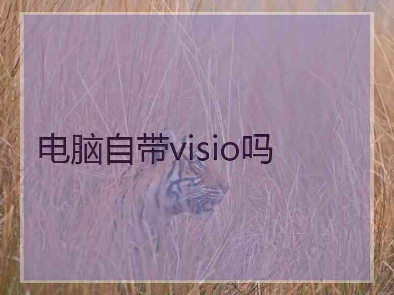 电脑自带visio吗