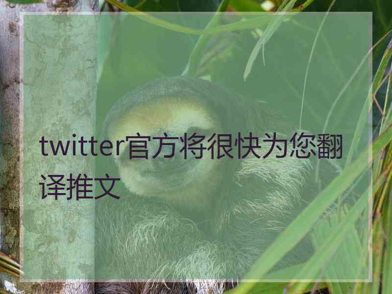 twitter官方将很快为您翻译推文