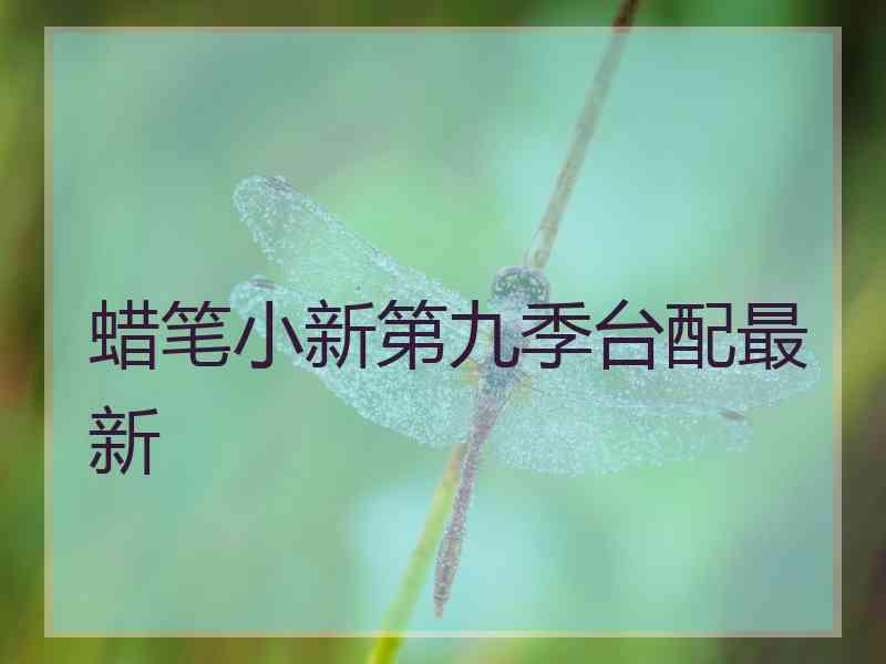 蜡笔小新第九季台配最新