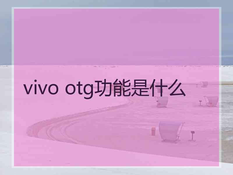 vivo otg功能是什么