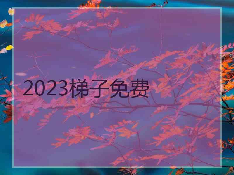 2023梯子免费