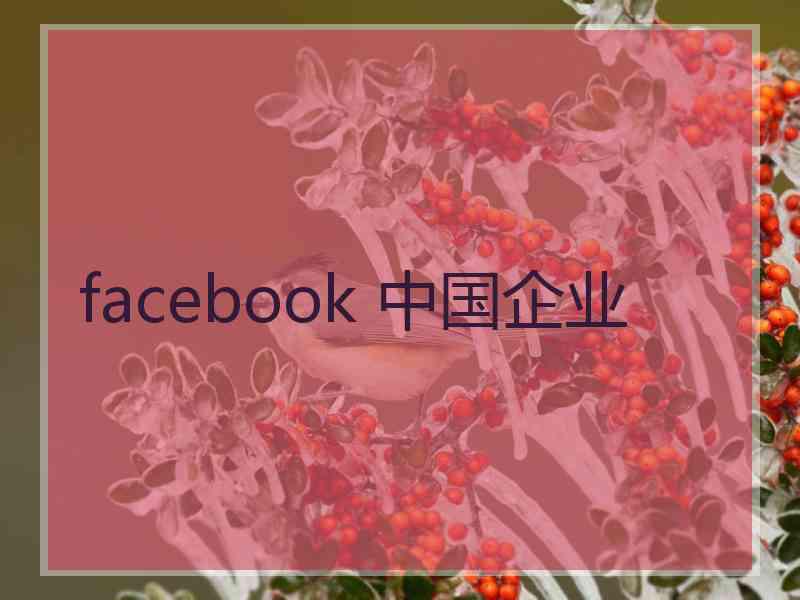 facebook 中国企业