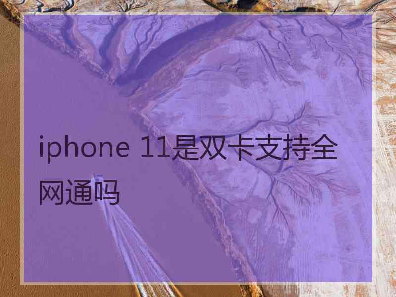 iphone 11是双卡支持全网通吗