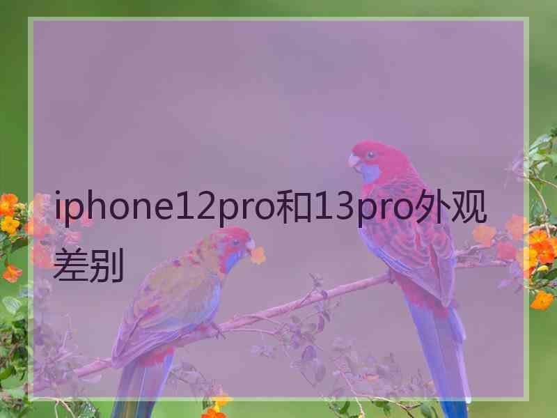 iphone12pro和13pro外观差别