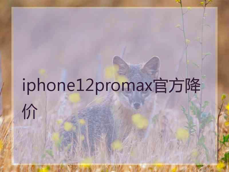 iphone12promax官方降价