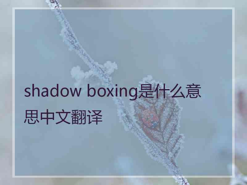 shadow boxing是什么意思中文翻译