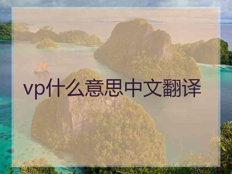 vp什么意思中文翻译