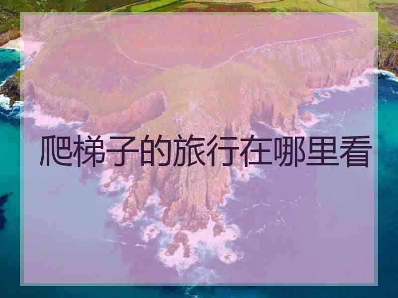 爬梯子的旅行在哪里看