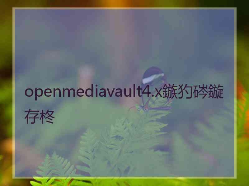 openmediavault4.x鏃犳硶鏇存柊