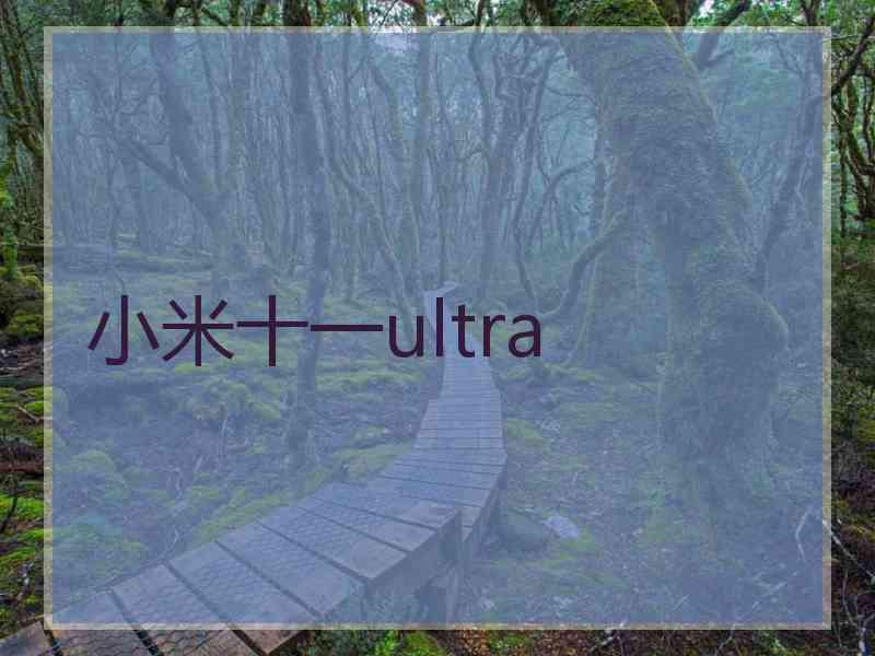 小米十一ultra