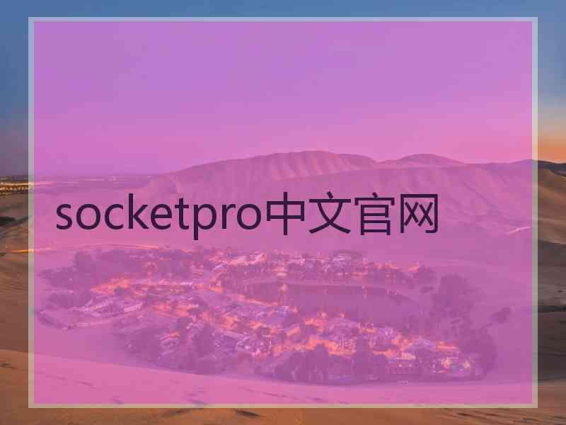 socketpro中文官网