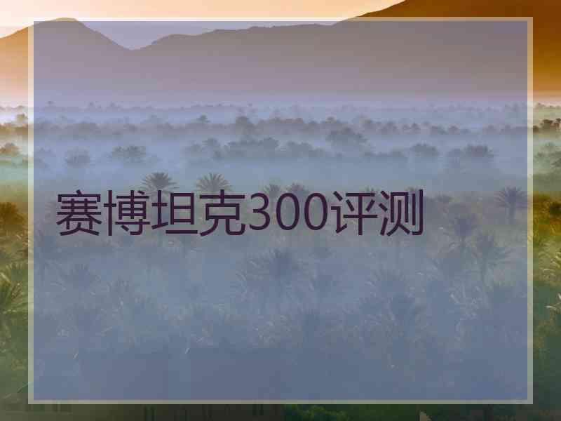 赛博坦克300评测