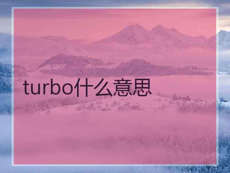 turbo什么意思