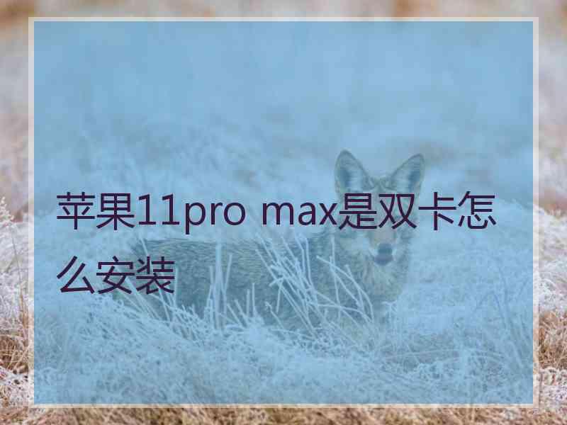 苹果11pro max是双卡怎么安装