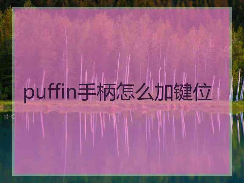 puffin手柄怎么加键位