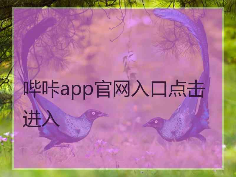 哔咔app官网入口点击进入