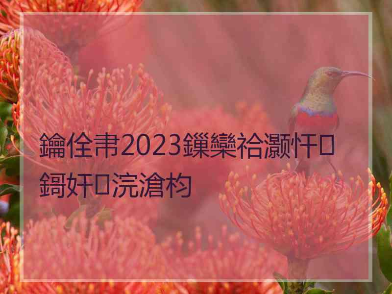 鑰佺帇2023鏁欒祫灏忓鎶奸浣滄枃