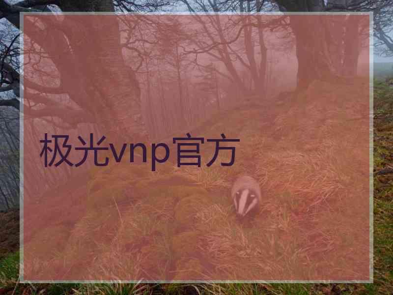 极光vnp官方